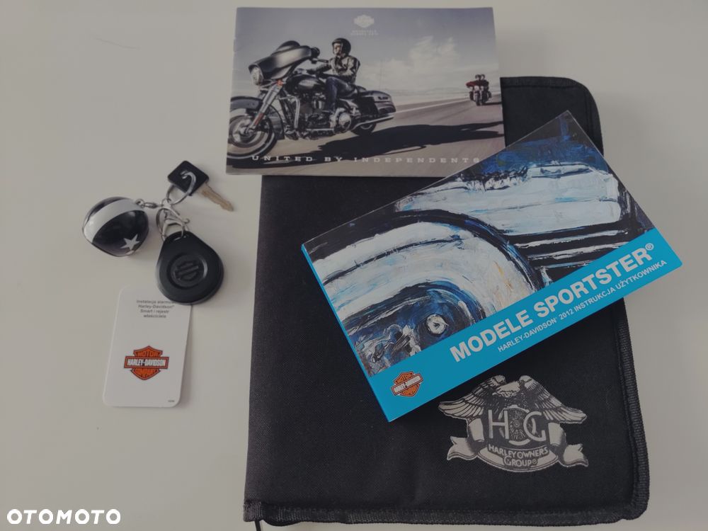Harley-Davidson Sportster Iron 883 - 12