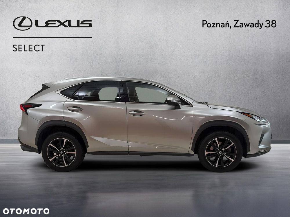 Lexus NX 300 Prestige AWD - 6