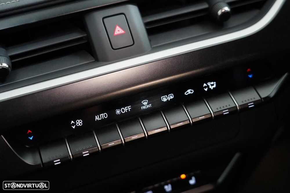 Lexus UX 300e Luxury - 14