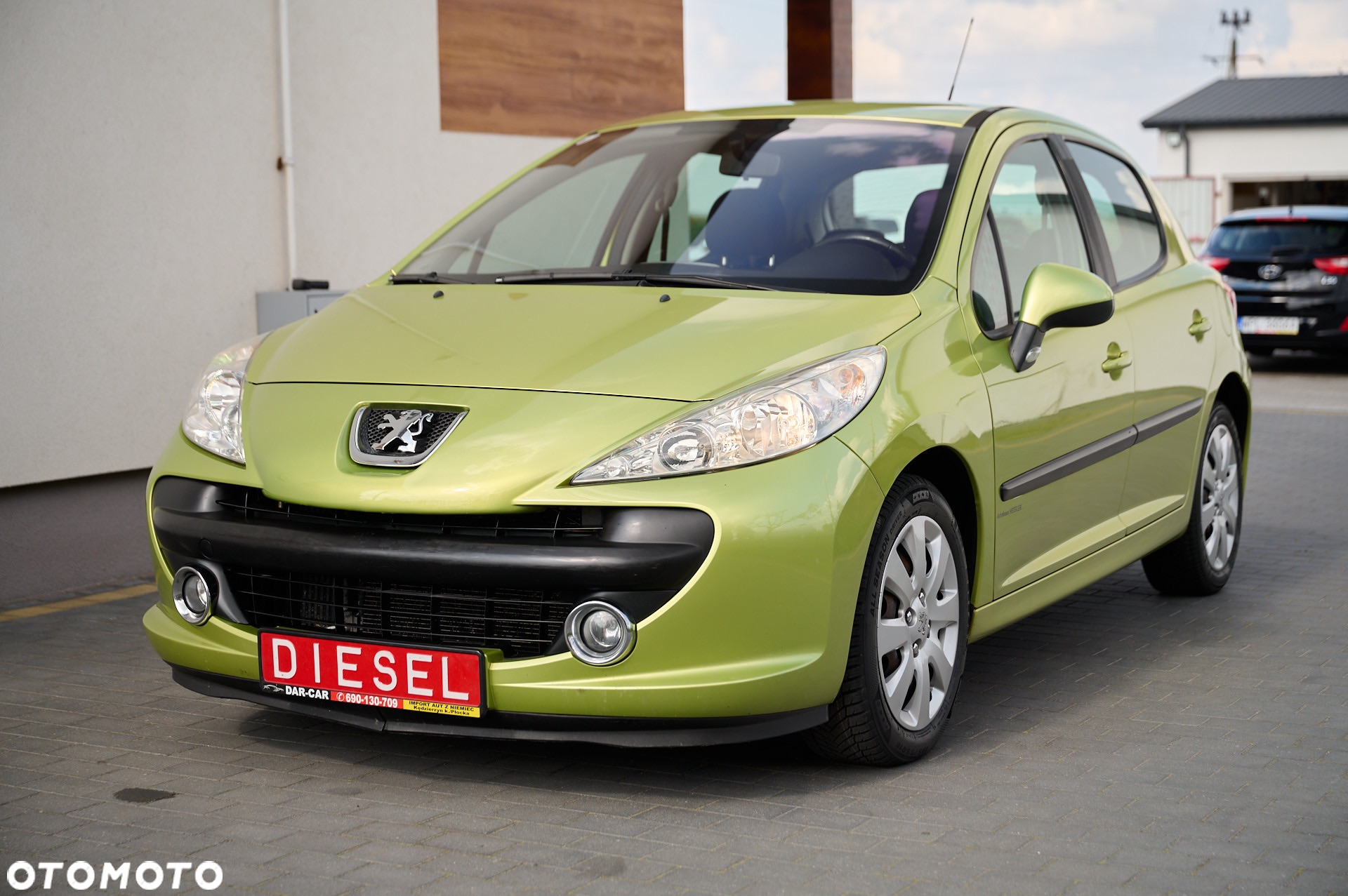 Peugeot 207 - 6