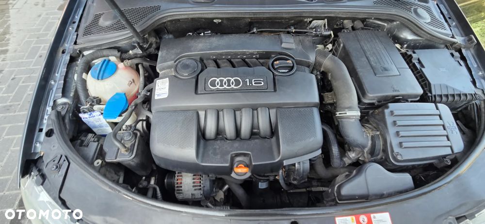 Audi A3 3-drzwiowe 1.6 Ambition - 36
