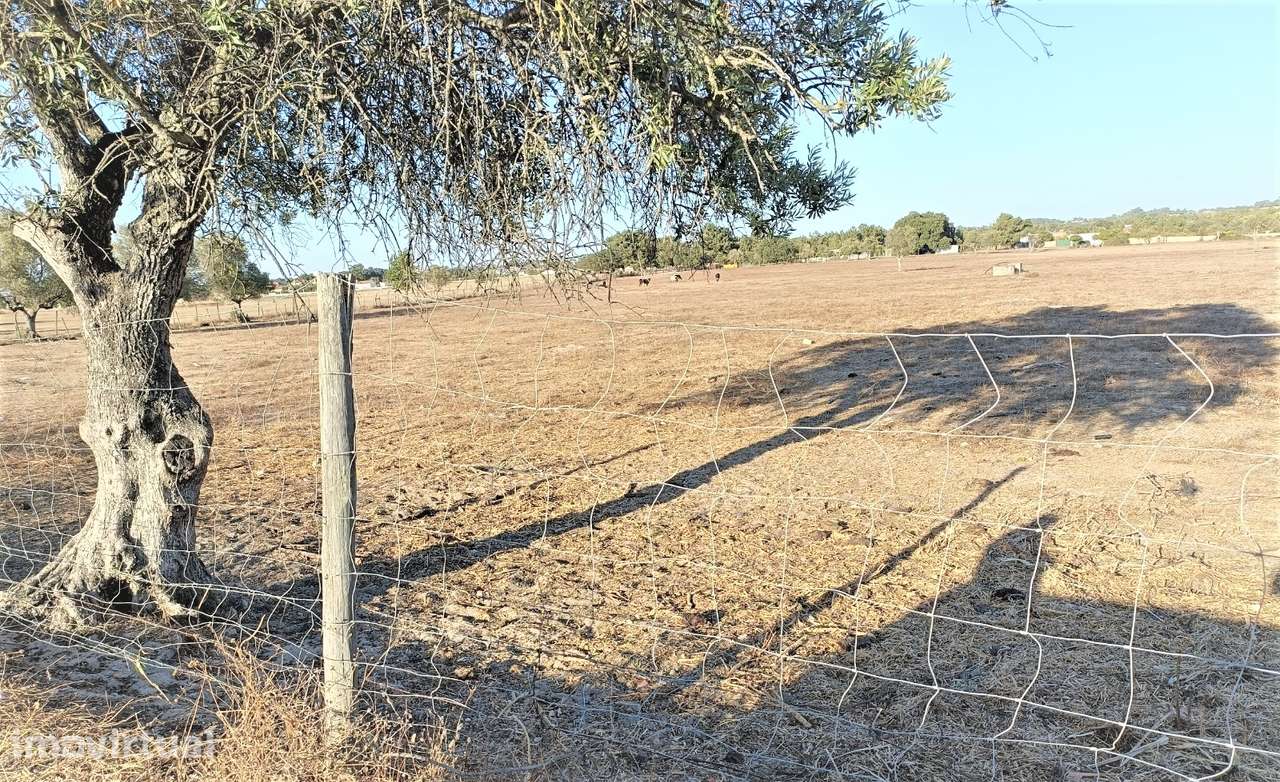 Terreno urbano em Alhos Vedros com 14.000 m² - Grande imagem: 3/14