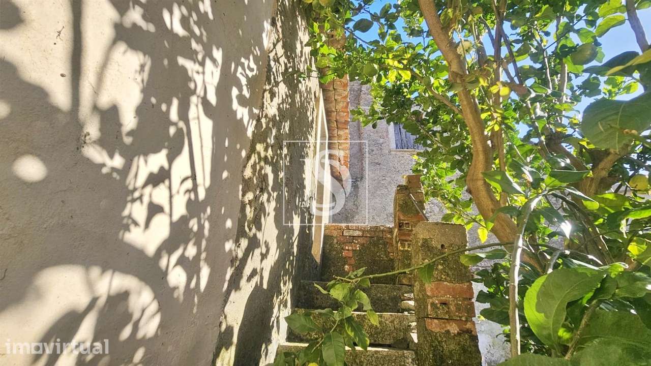 Moradia para Restaurar T1 Venda em Ereira,Montemor-o-Velho - Grande imagem: 2/36
