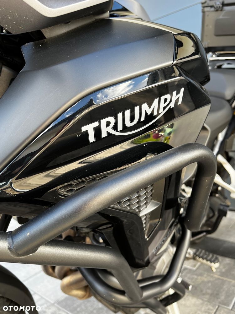 Triumph Tiger - 19