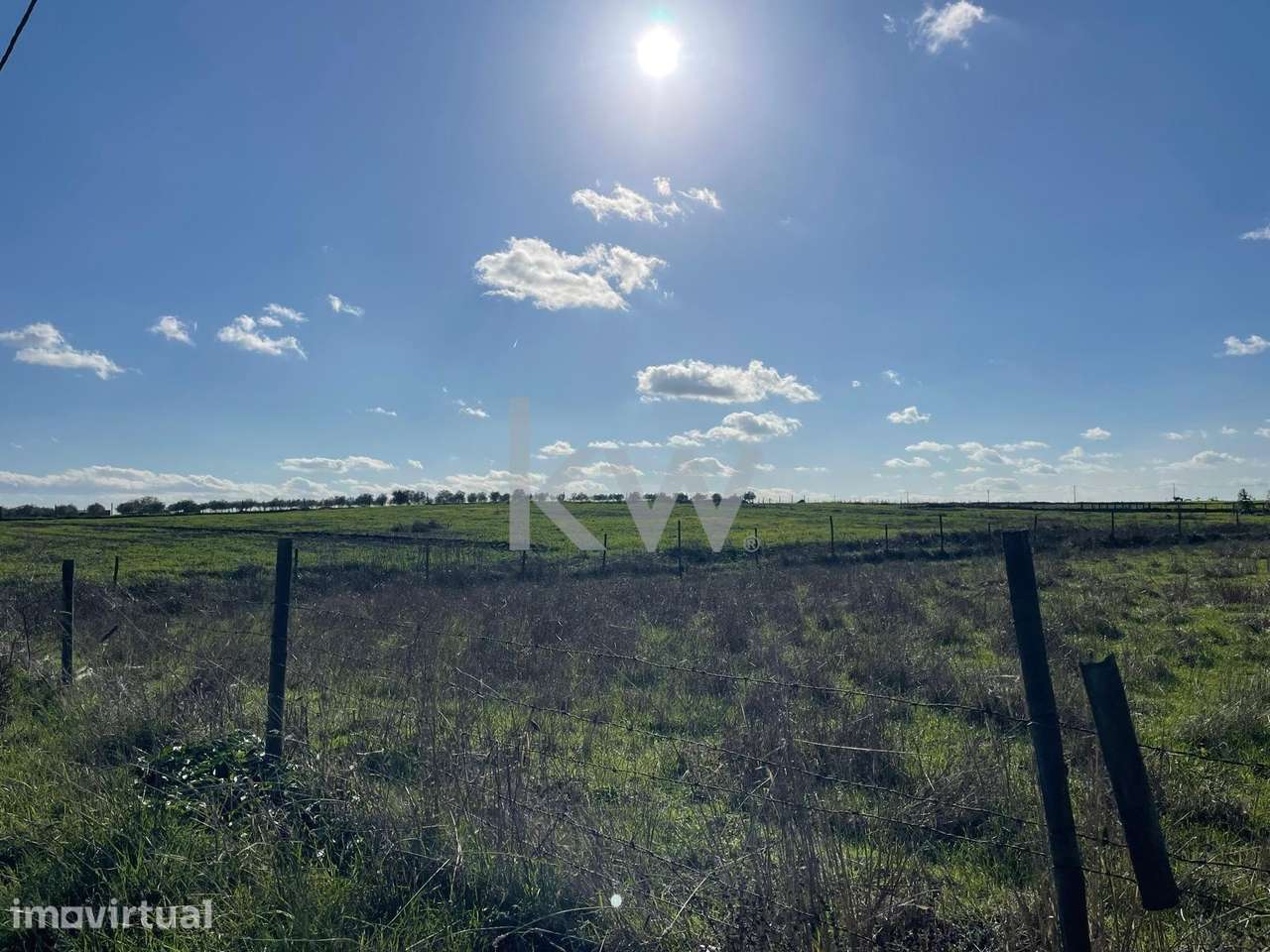 Terreno para venda em aldeia ribeirinha do Alqueva - Grande imagem: 5/7