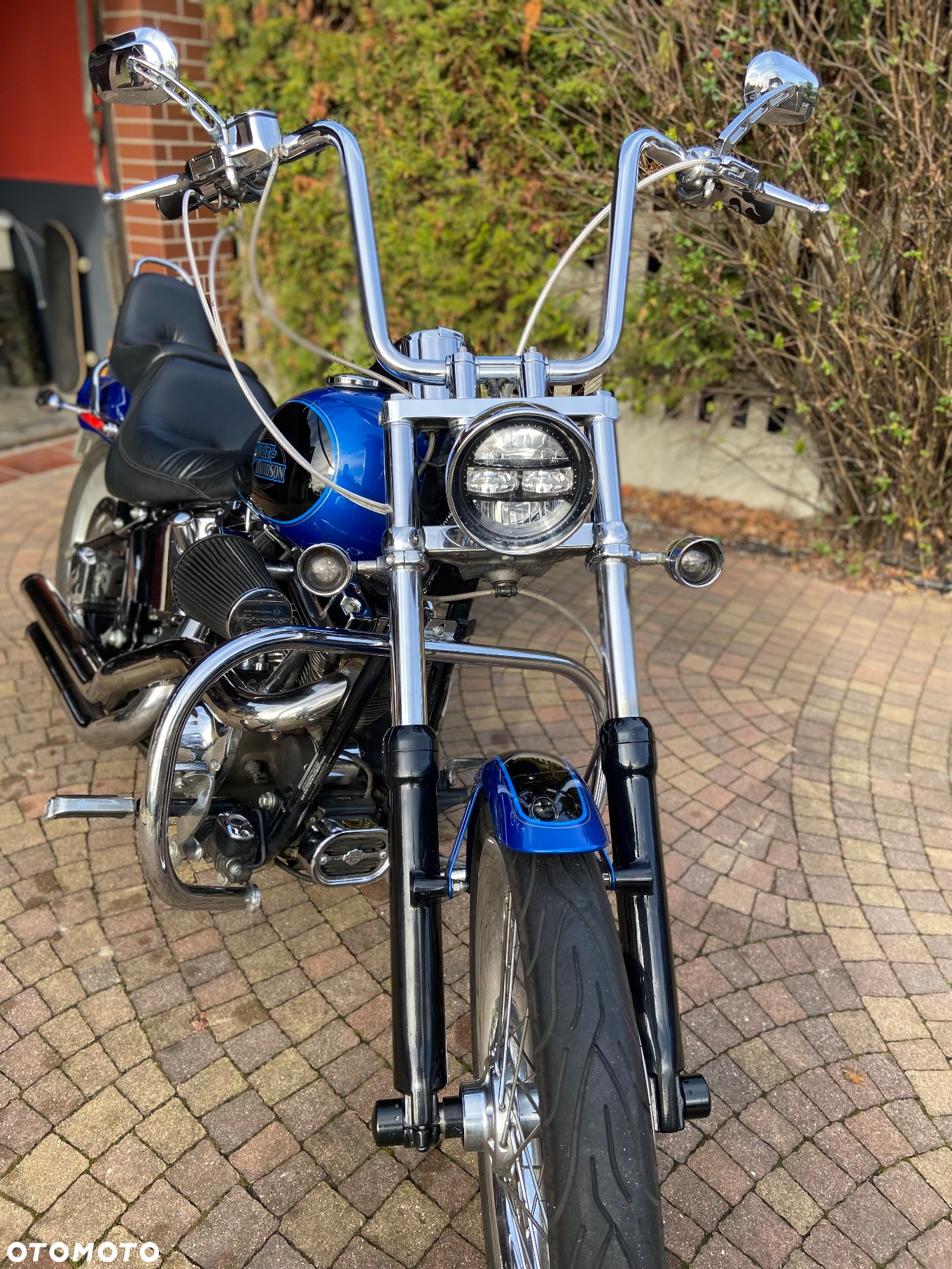 Harley-Davidson Softail Custom - 8