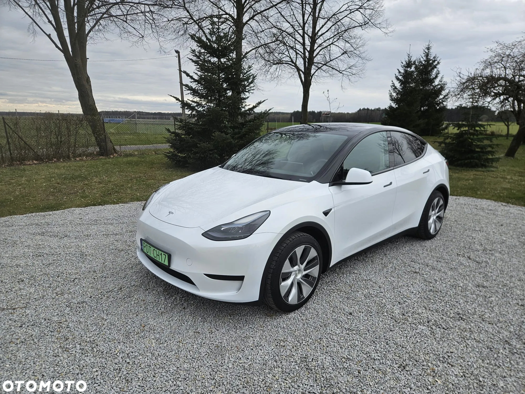 Tesla Y Model RWD - 9