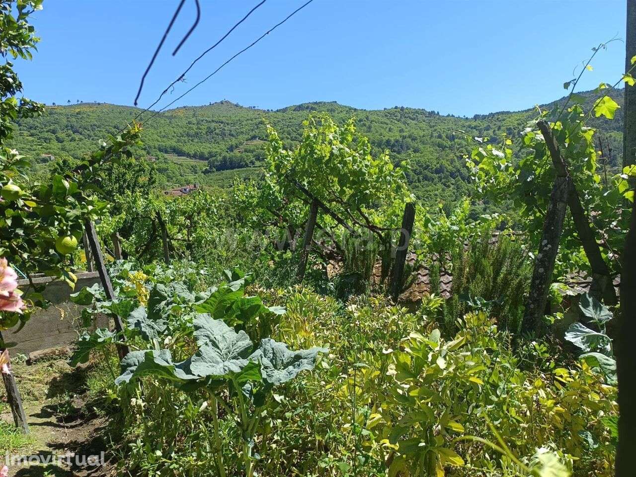 Moradia T1 / Resende, Anreade e São Romão de Aregos - Grande imagem: 2/3