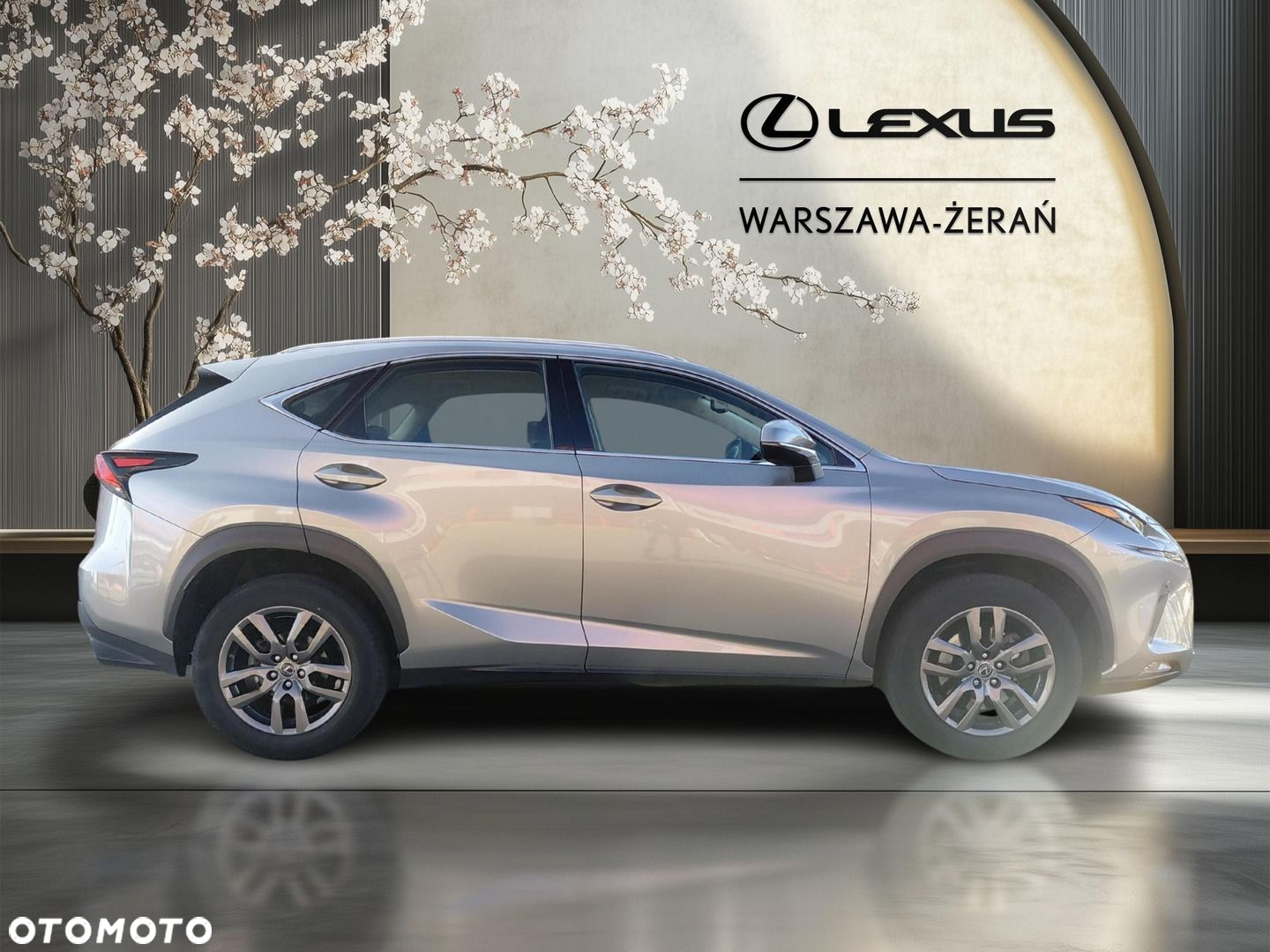 Lexus NX 300 Optimum AWD - 8