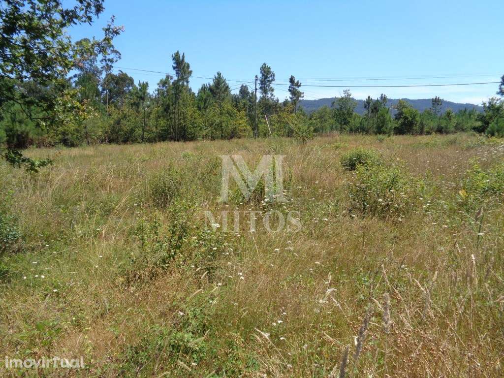 Terreno p/ construção - Deão - Grande imagem: 5/11