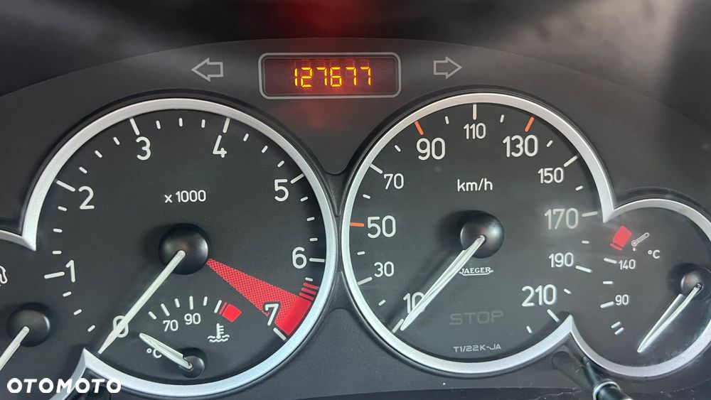 Peugeot 206 CC 135 Roland Garros - 19