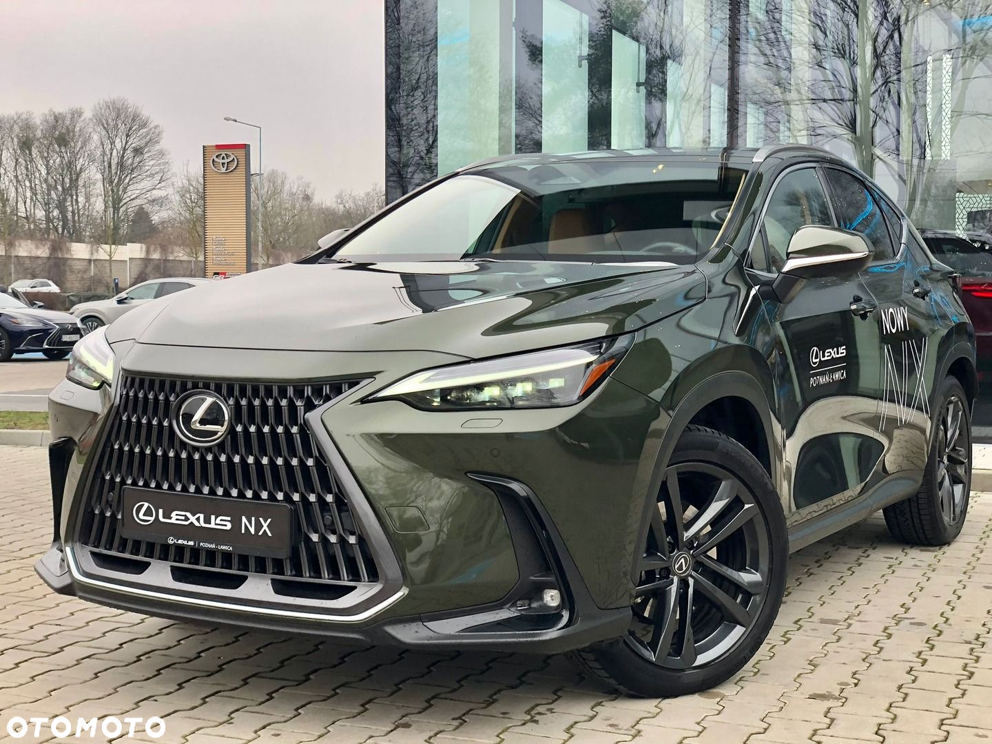 Lexus NX - 10