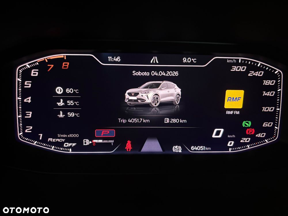 Cupra Formentor 2.0 TSI 4Drive DSG - 10