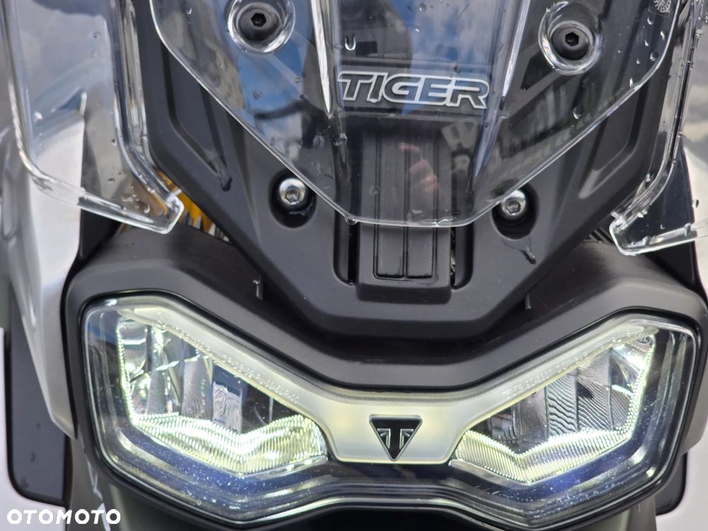 Triumph Tiger - 8