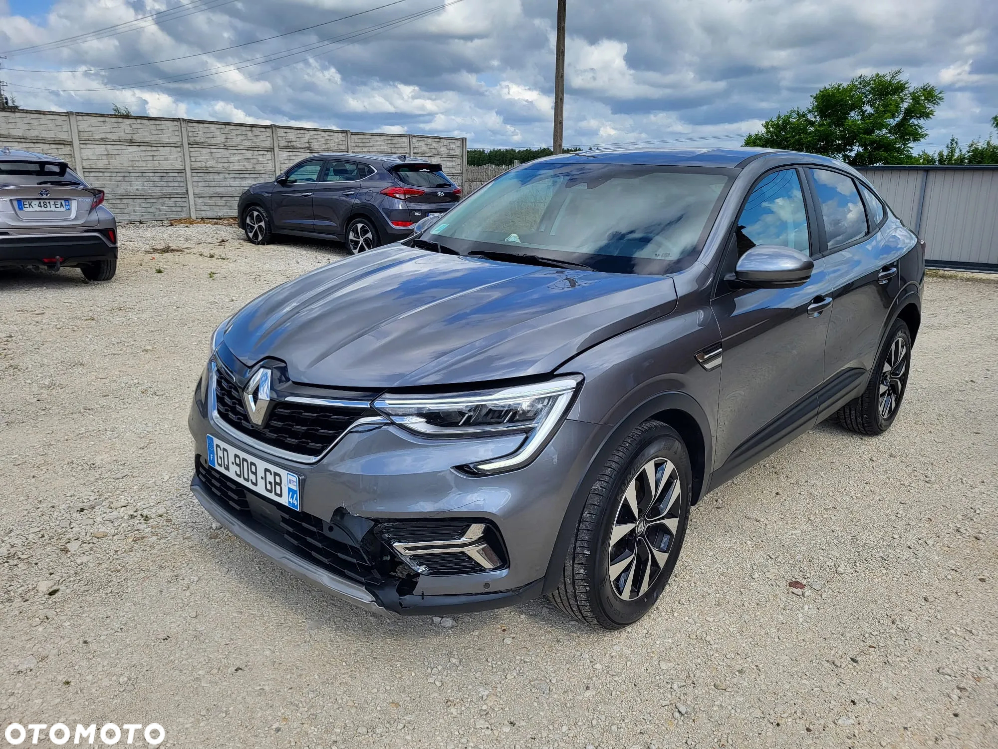 Renault Arkana - 2