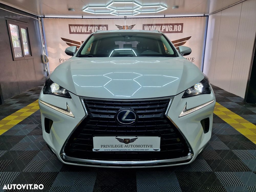 Lexus Seria NX 300h AWD Business - 2