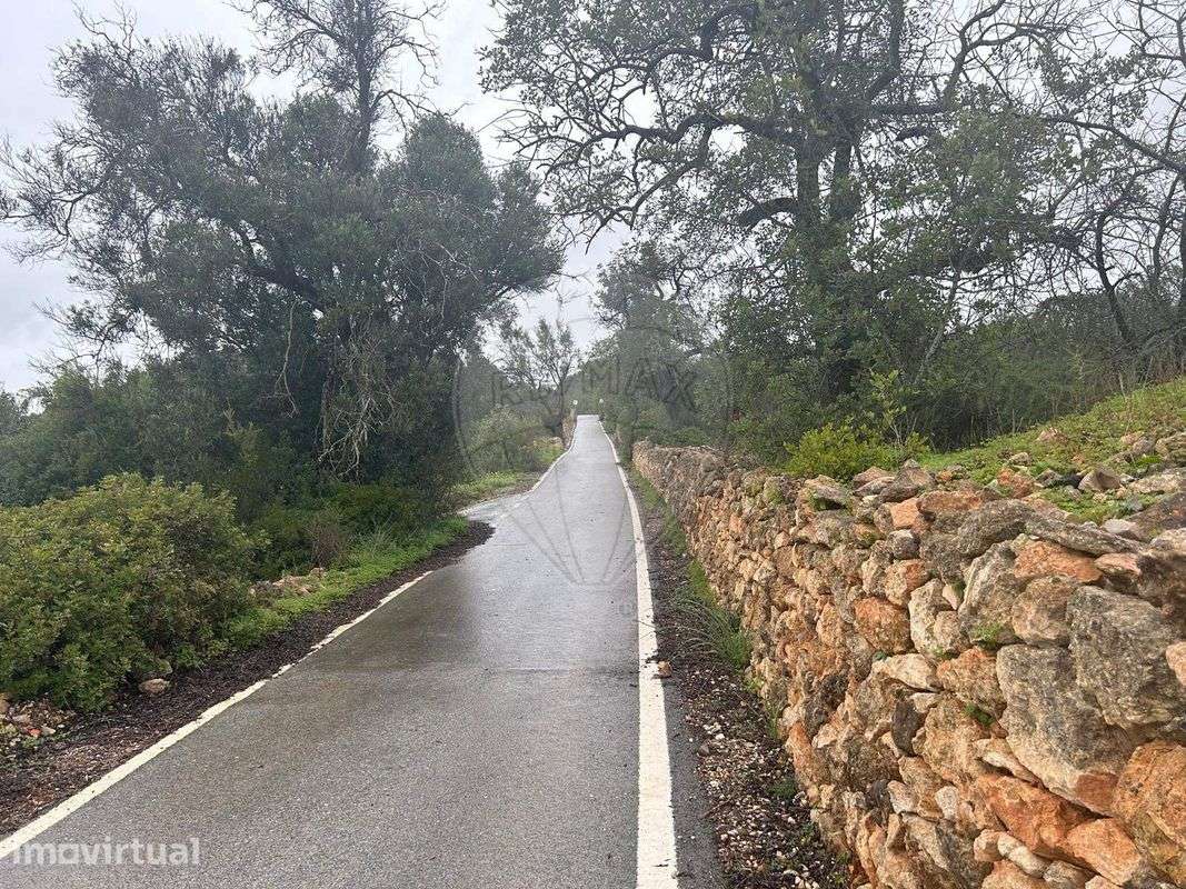 Terreno  para venda - Grande imagem: 4/8