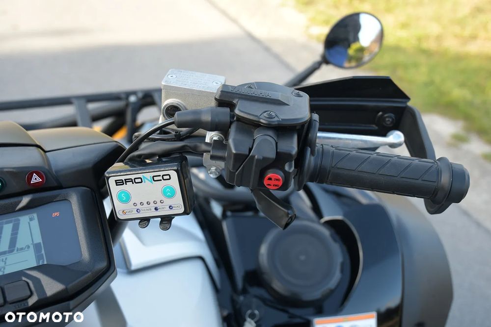 Yamaha Grizzly - 32