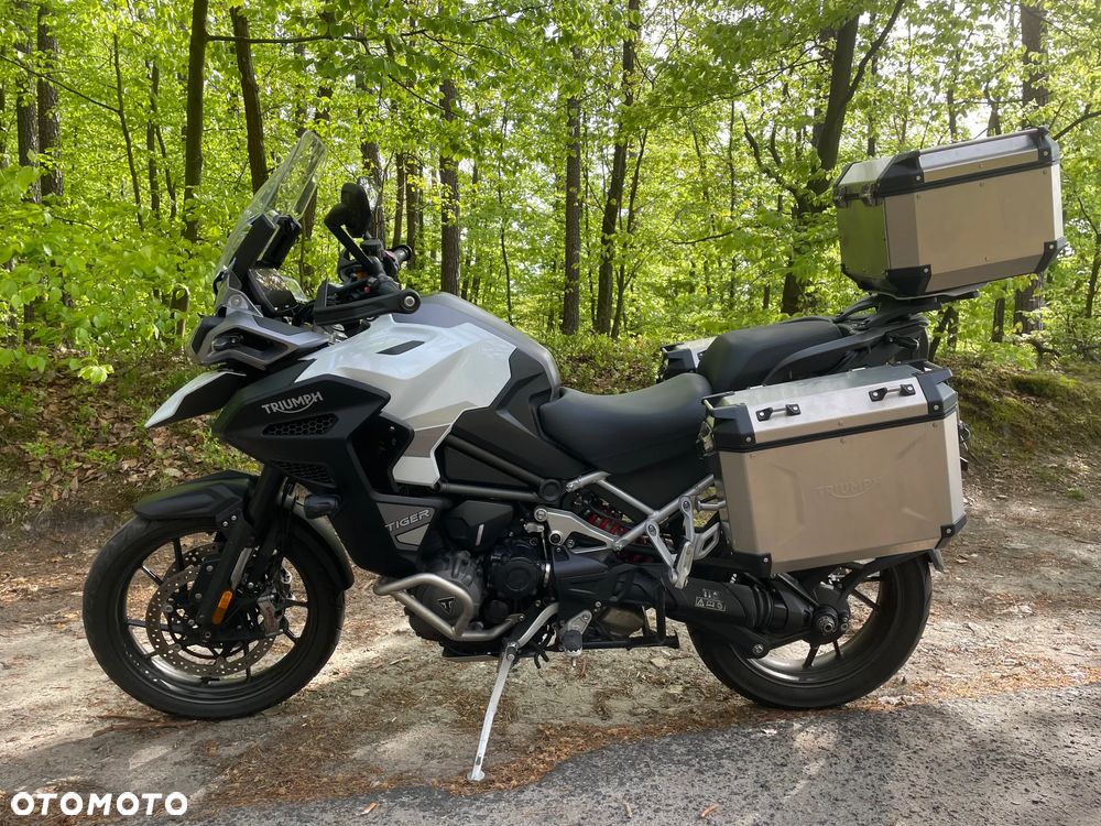 Triumph Tiger - 1