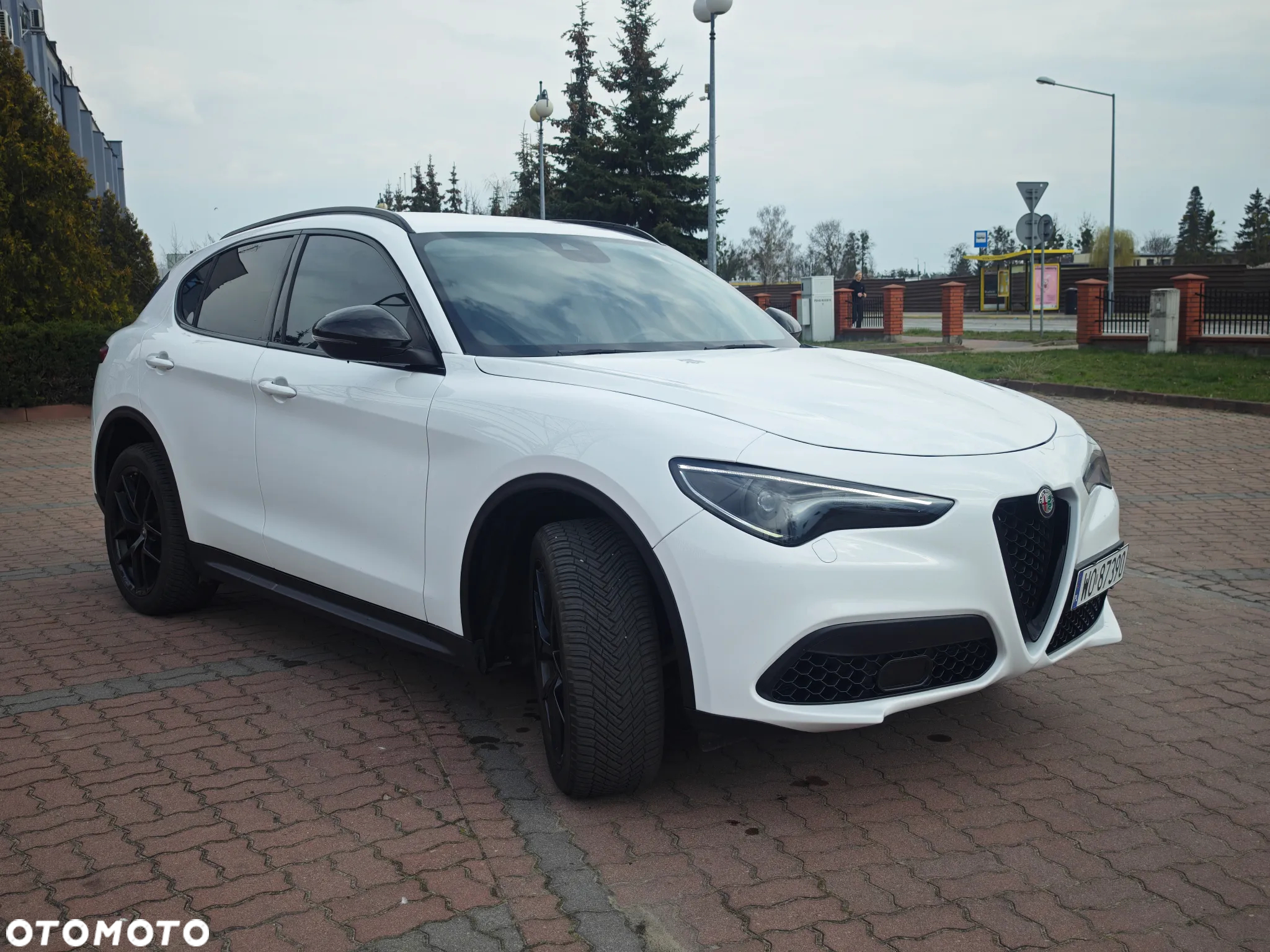 Alfa Romeo Stelvio 2.0 Turbo 16V AT8-Q4 Veloce - 4