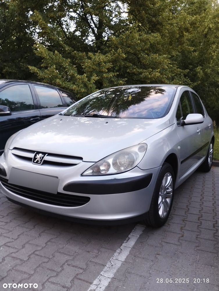 Peugeot 307 1.6 Mistral - 32