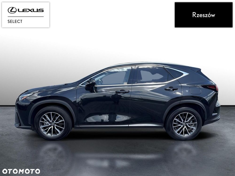 Lexus NX 350h Prestige AWD - 2