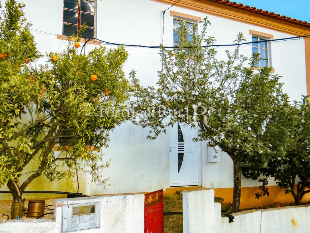 Moradia independente próxima de Proença-a-Nova - Grande imagem: 3/21