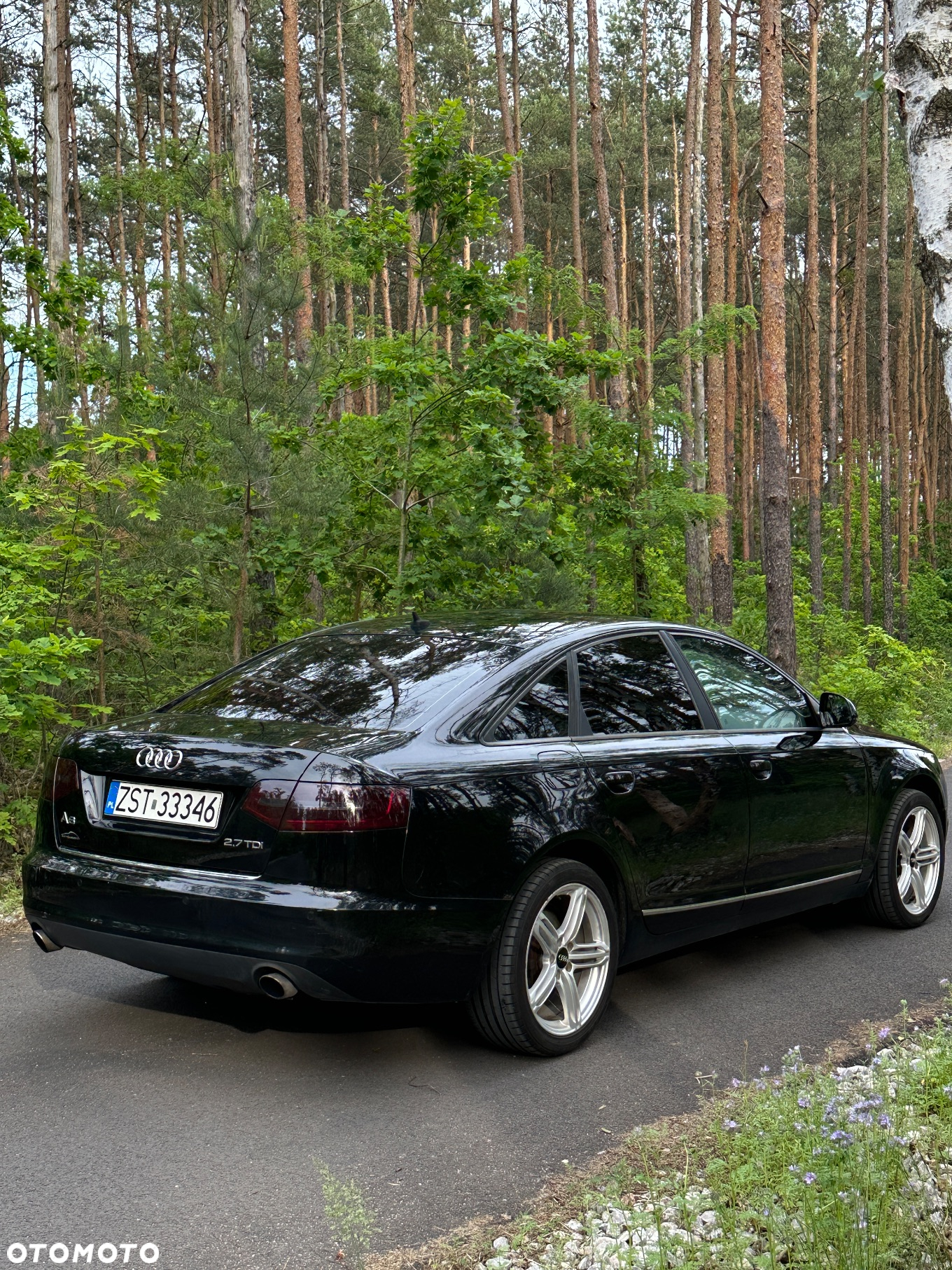 Audi A6 2.7 TDI Multitronic - 12