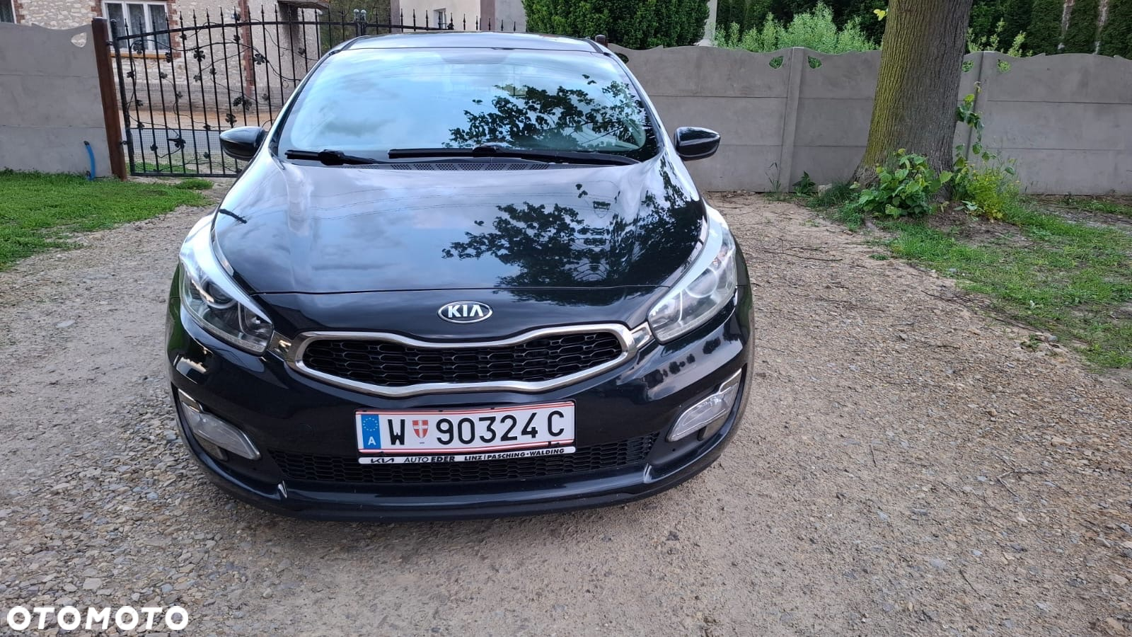 Kia ProCeed - 5