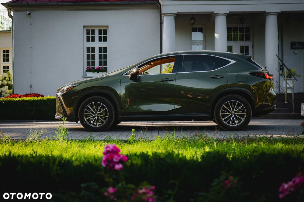 Lexus NX 450h+ Prestige AWD - 8