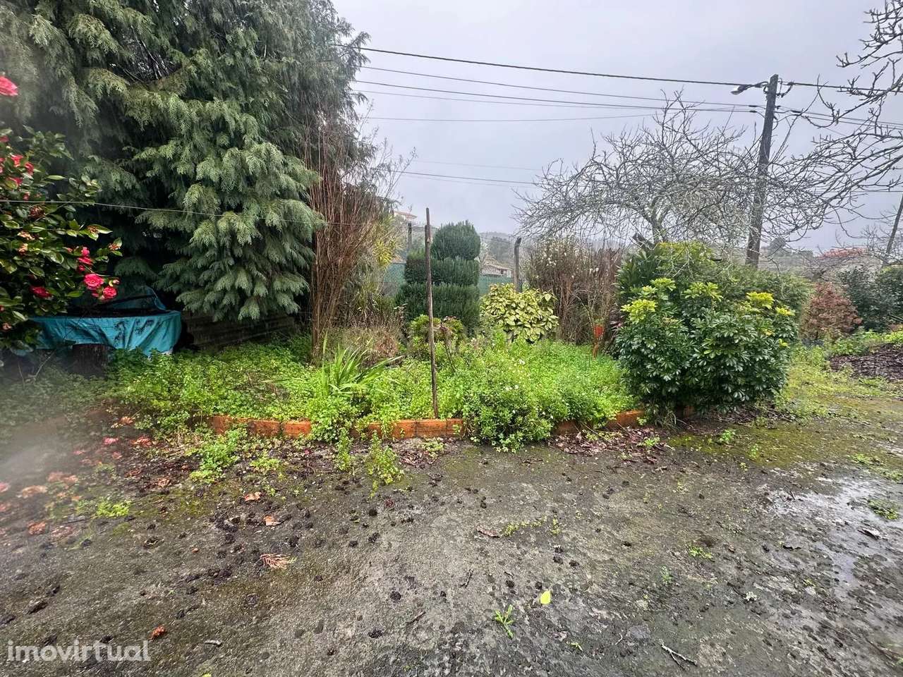 Excelente oportunidade de investimento em Curvos – Sítio da Cachada - Grande imagem: 5/19