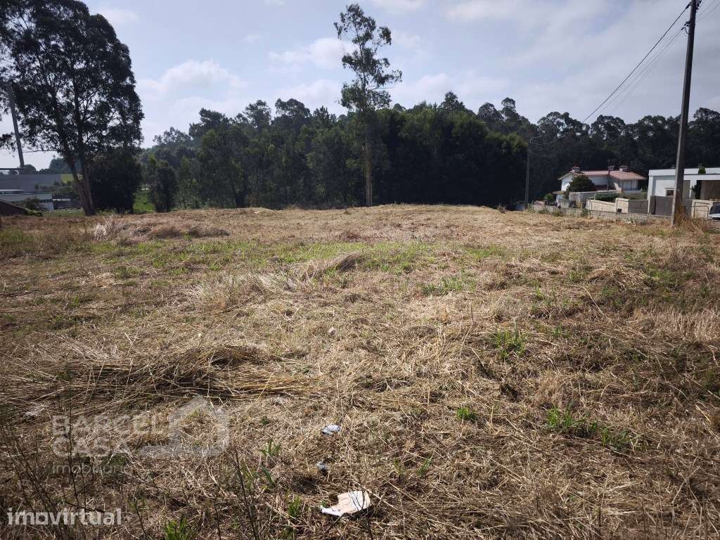 Terreno de construção junto à estrada nacional em Negreiros - Barcelos - Grande imagem: 3/9