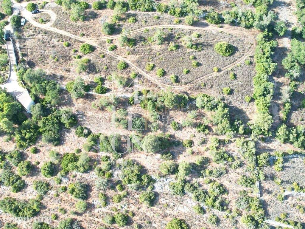 Conjunto de 2 terrenos rústicos  área total superior a 12.000 m2– CERR - Grande imagem: 2/13