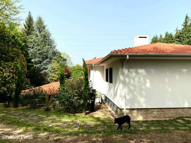 Propriedade com moradia - Grande imagem: 5/11