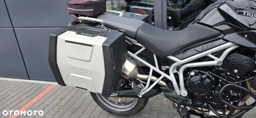 Triumph Tiger - 19