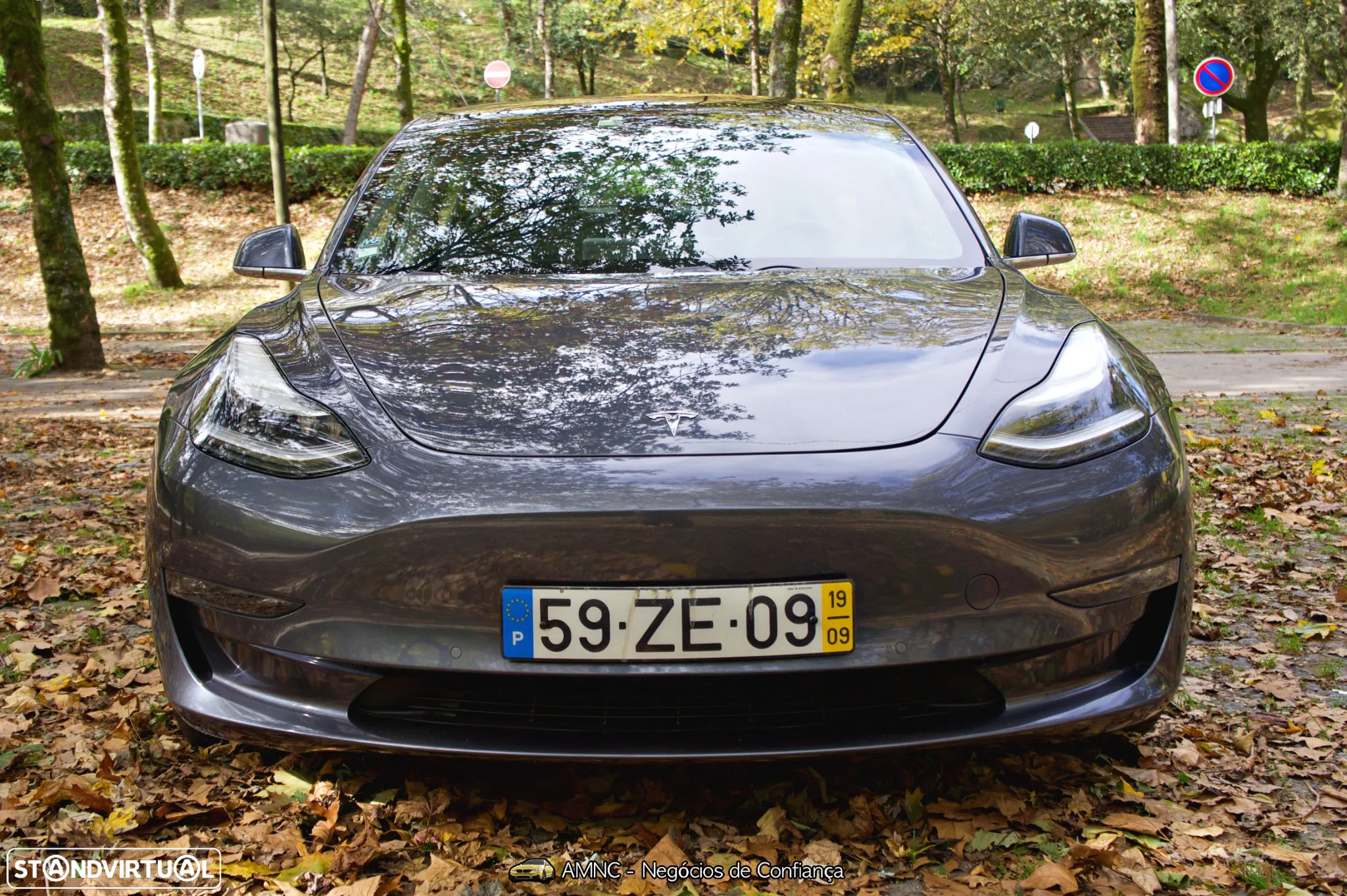 Tesla Model 3 Performance Dual Motor AWD - 6