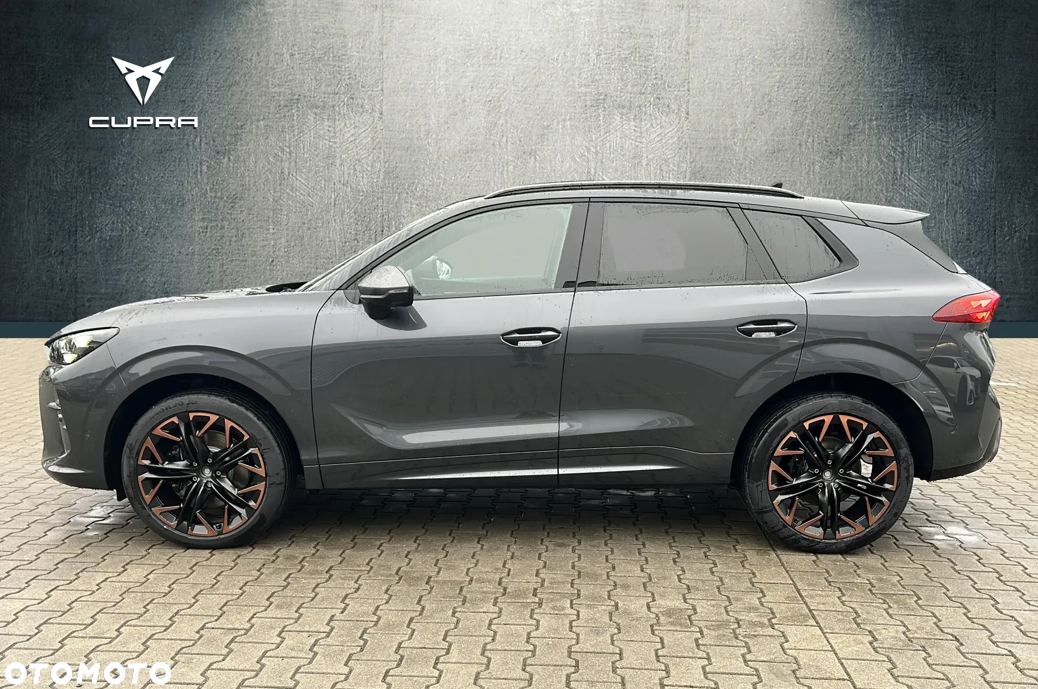 Cupra Terramar 2.0 TSI 4Drive DSG - 2