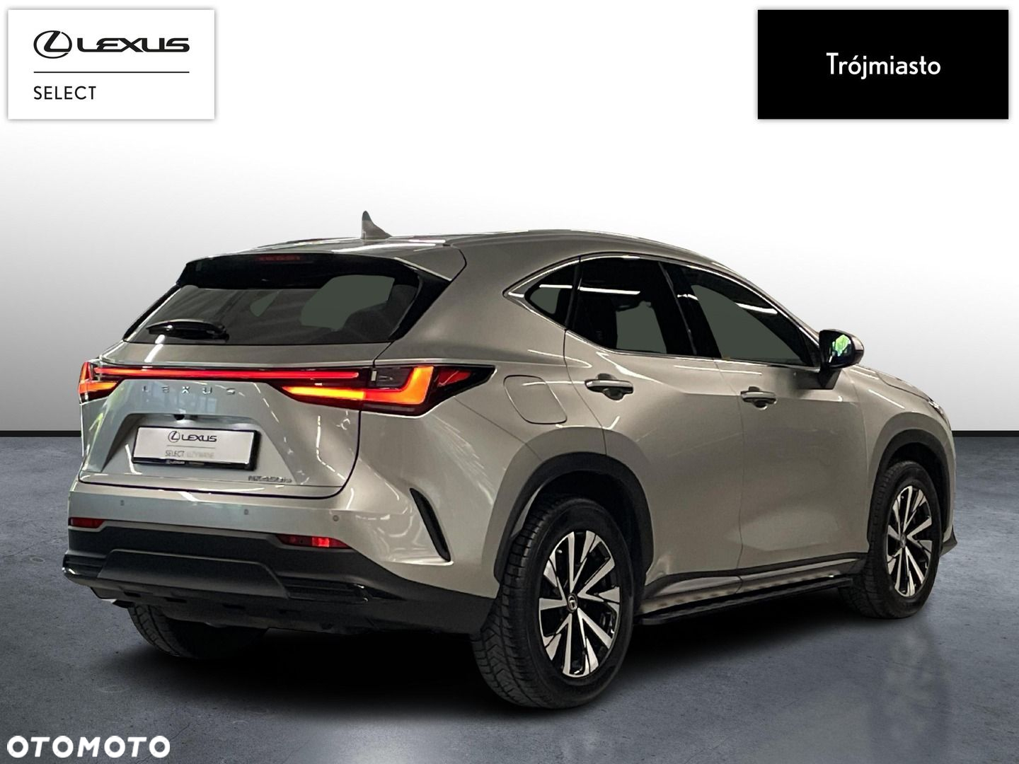 Lexus NX - 6