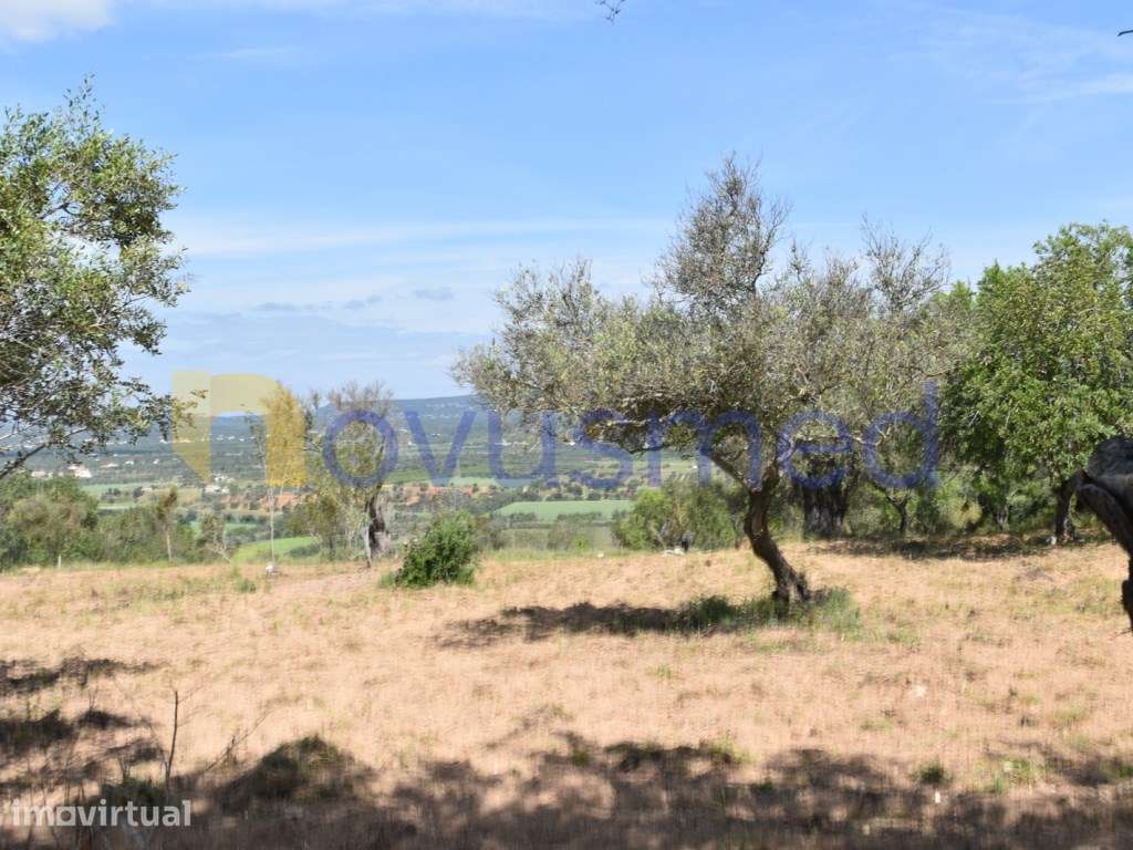 Terreno para construção 12 moradias, Paderne , Albufeira - Grande imagem: 3/30