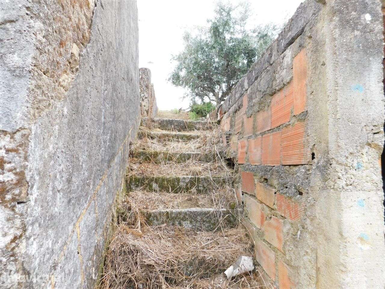 Moradia / Seia, Seia, São Romão e Lapa dos Dinheiros - Grande imagem: 3/14
