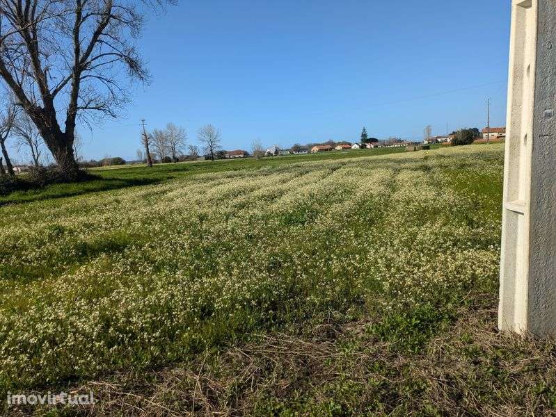 Terreno Rústico em Pardilhó - Grande imagem: 4/9