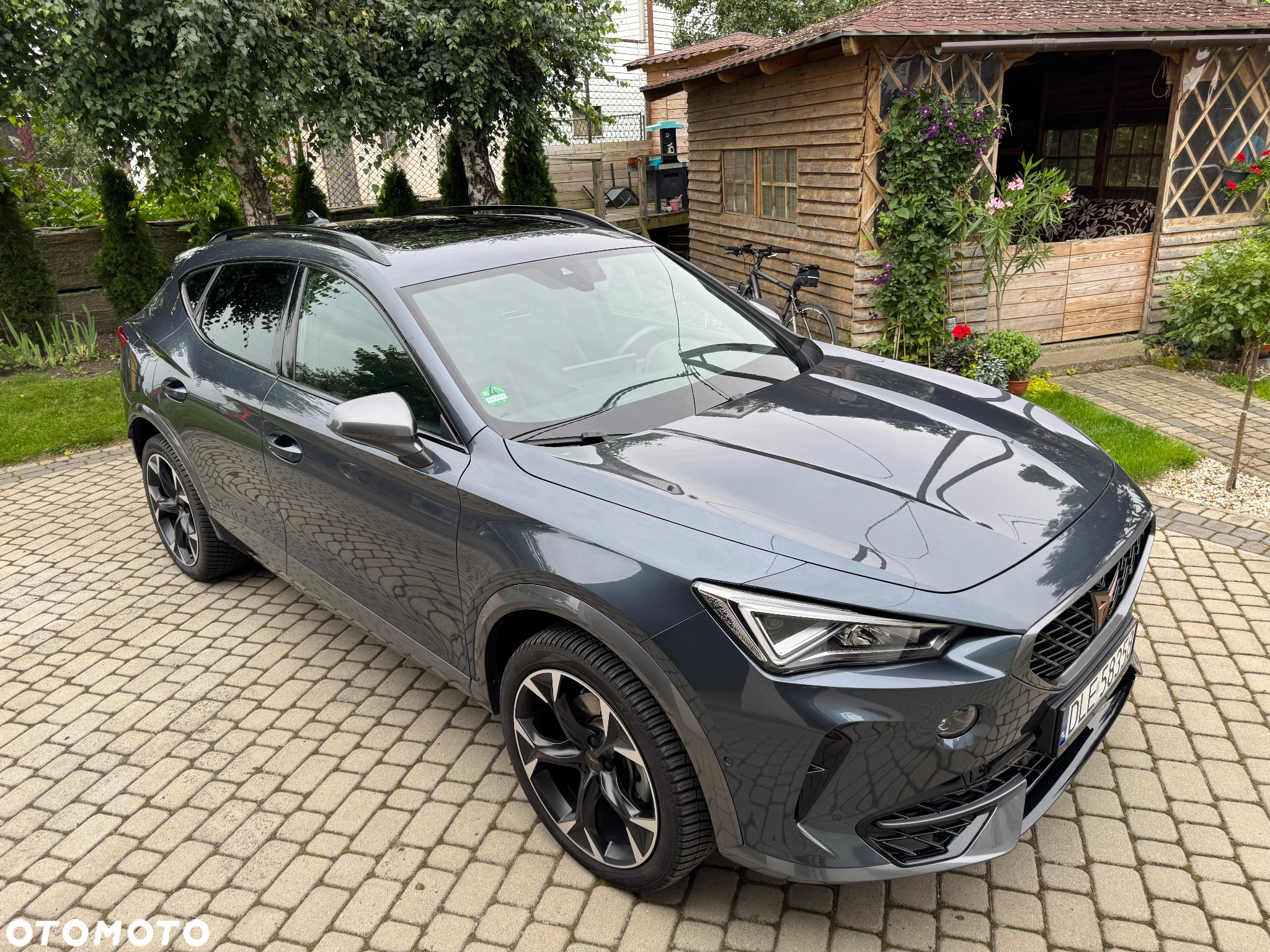 Cupra Formentor 2.0 TDI 4Drive DSG - 2