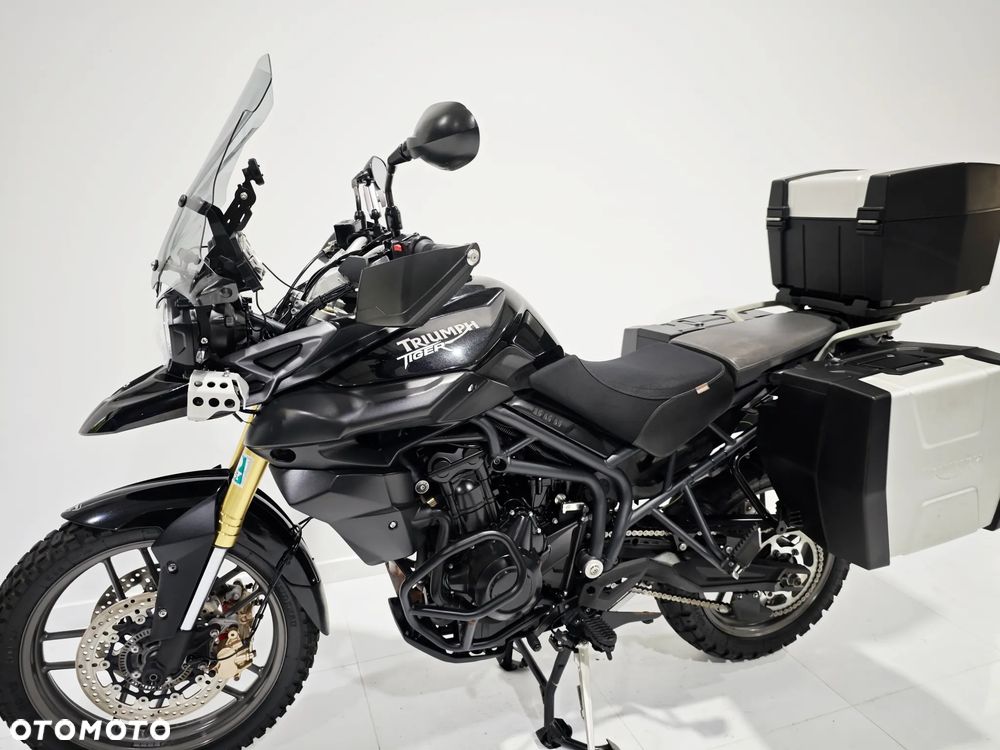 Triumph Tiger - 14