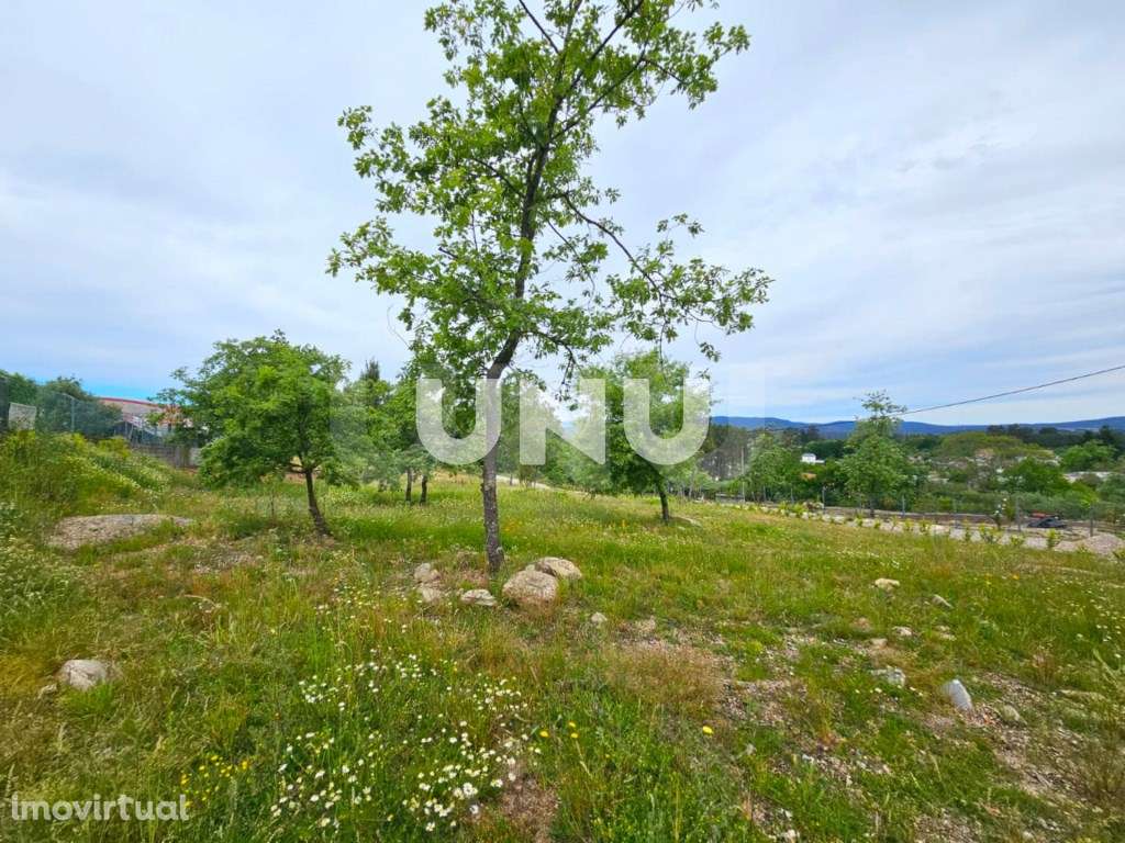 Terreno Rústico - Possibilidade de Construção - Grande imagem: 2/11