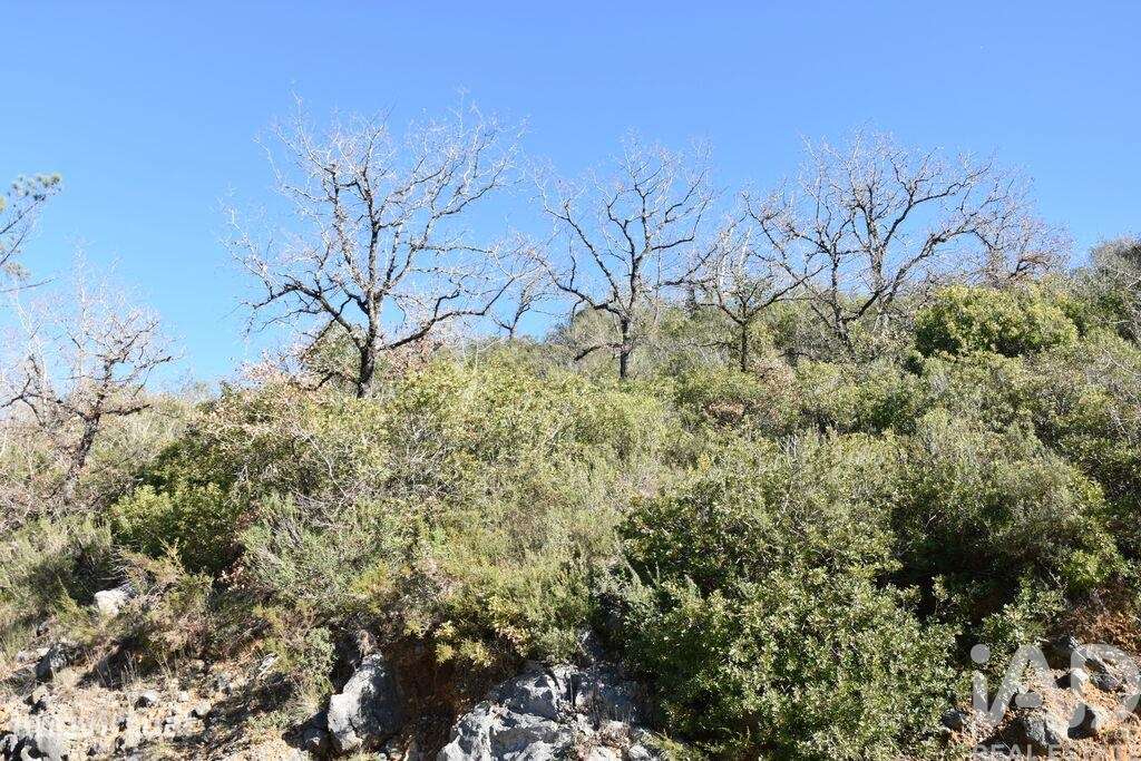 Terreno em Freixianda, Ribeira do Fárrio e Formigais de 2840,00 m2 - Grande imagem: 3/30