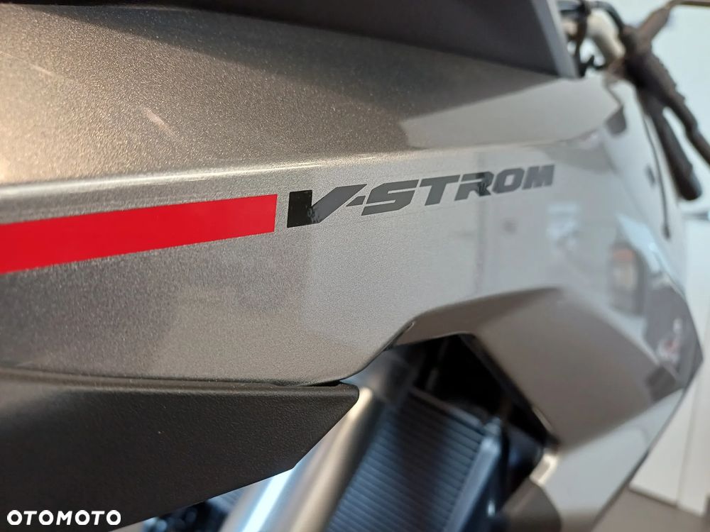 Suzuki V-STROM - 6