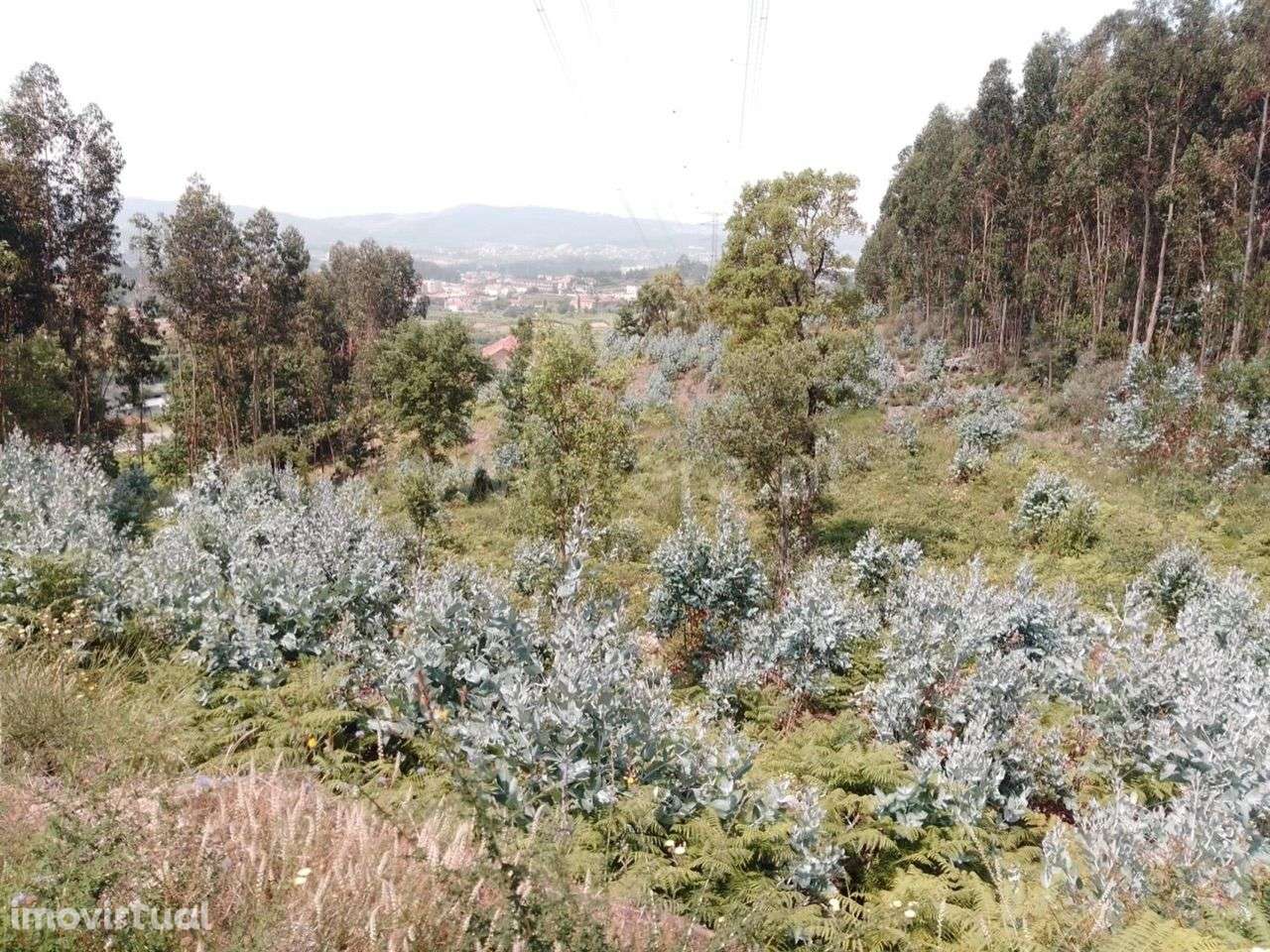 Terreno para construção em Rebordosa - Paredes - Grande imagem: 2/3