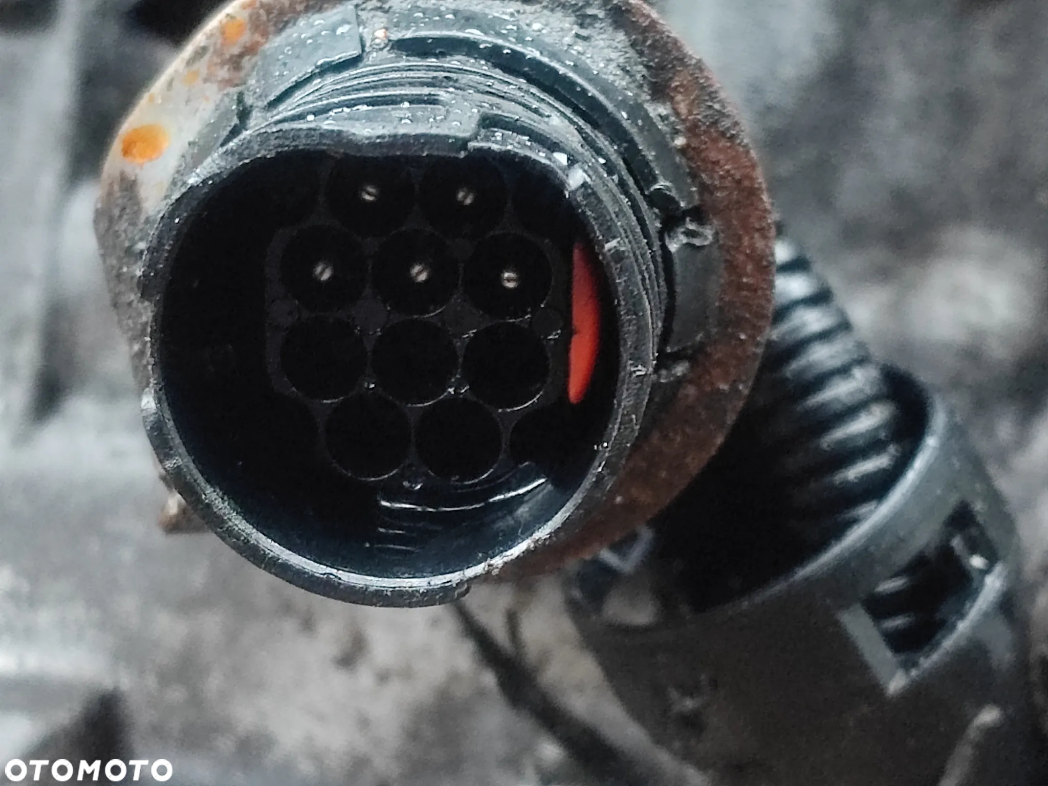 BMW E39 / E46 / E85 ( Z4 ) ORYGINALNA KOMPLETNA AUTOMATYCZNA SKRZYNIA BIEGÓW 5HP19 ZF A5S 325Z - TU DO SILNIKÓW GAMY M54B30 231KM  + SPRZĘGŁO HYDROKINETYCZNE + KOŁO ZAMACHOWE O NR. 24 00 1 423 933 OEM W BARDZO DOBRYM STANIE - 14