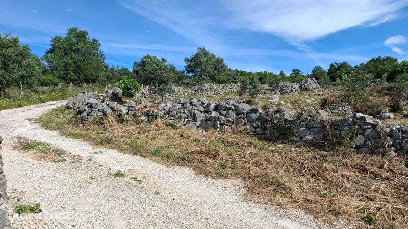 Terreno Rural, para venda nos Casais da Moreta. Monsanto ACN Santarém. - Grande imagem: 3/12