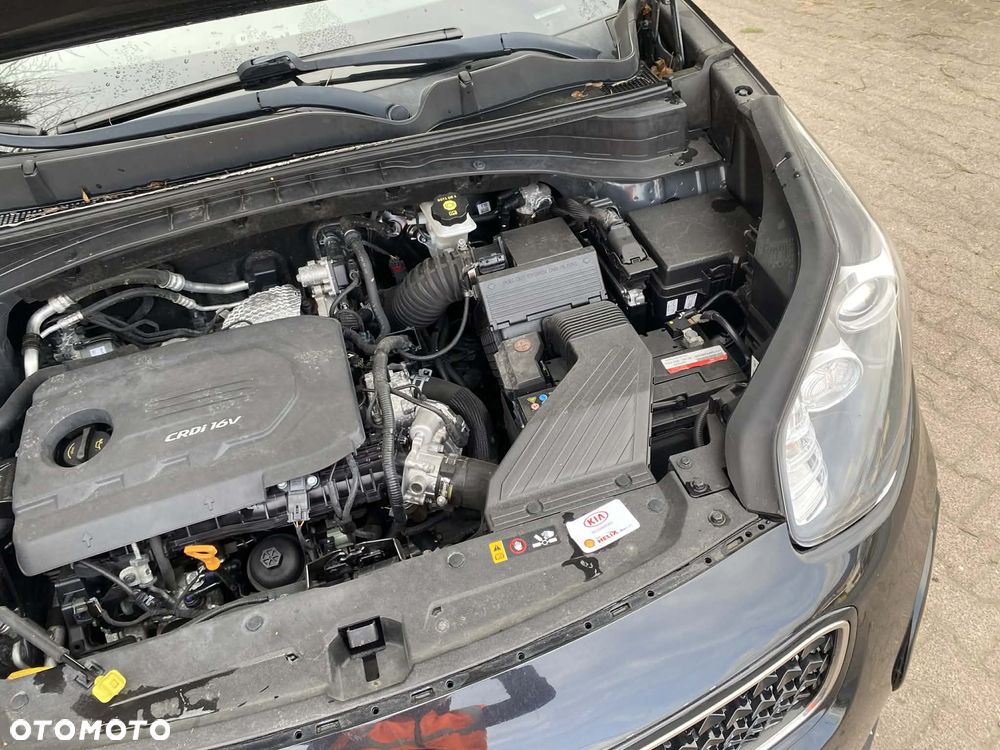 Kia Sportage - 22